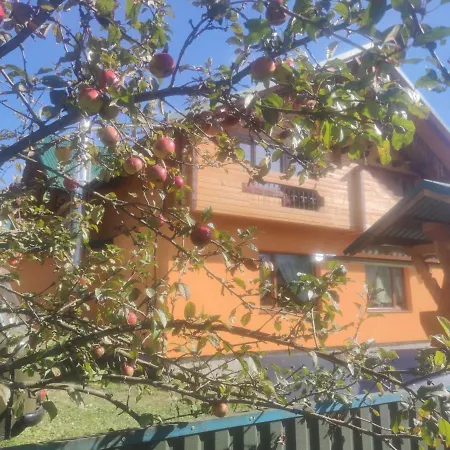 롯지 приватна 