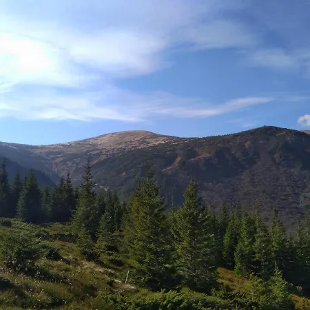 приватна 